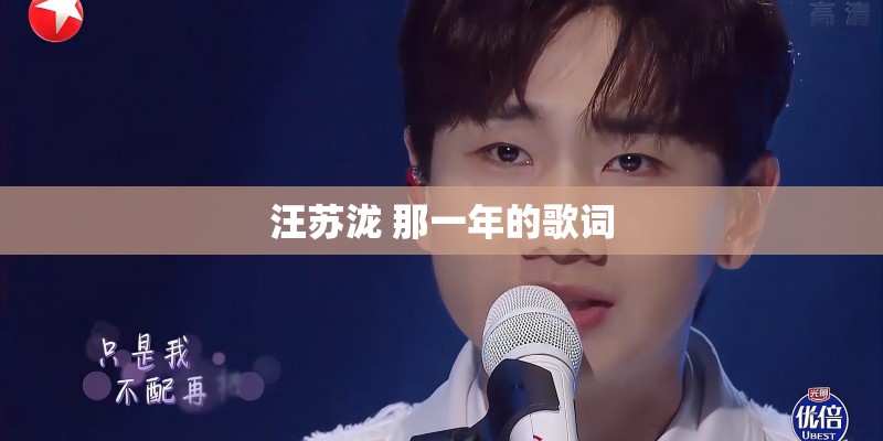 像我这样的人 歌词 毛不易