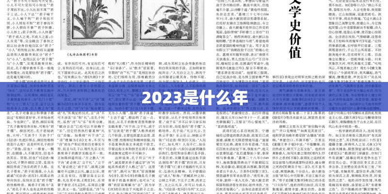 2023是什么年