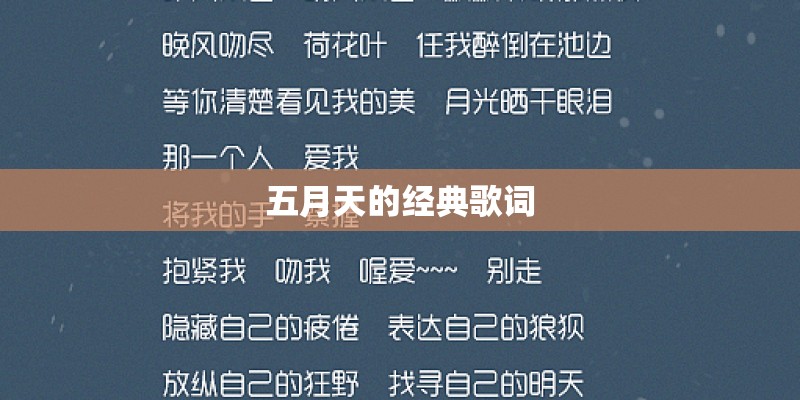 小风有点凉歌曲
