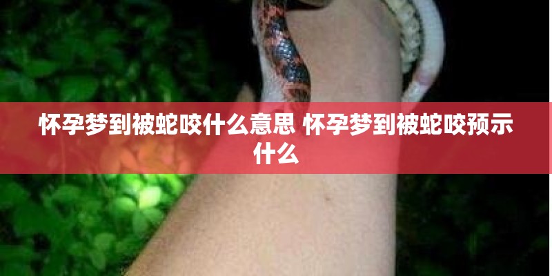 怀孕梦到被蛇咬什么意思 怀孕梦到被蛇咬预示什么