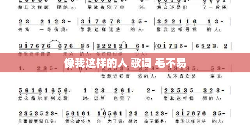 像我这样的人 歌词 毛不易