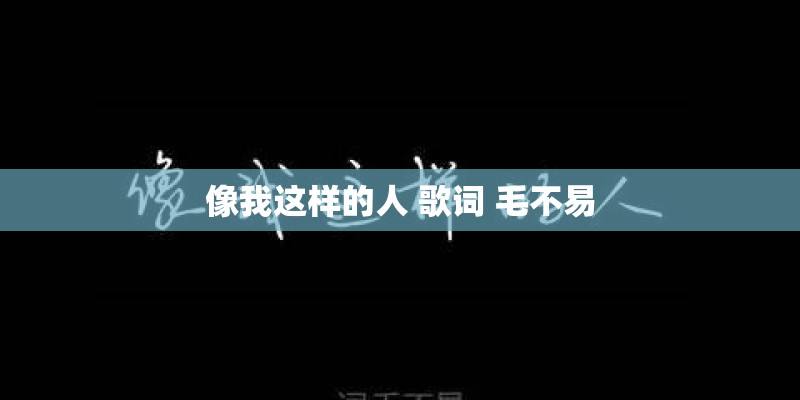 像我这样的人 歌词 毛不易