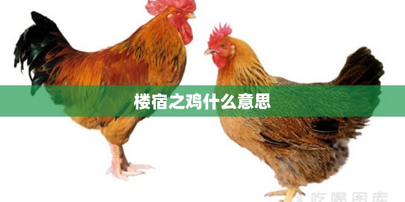 来自星星的你观后感