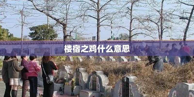 楼宿之鸡什么意思