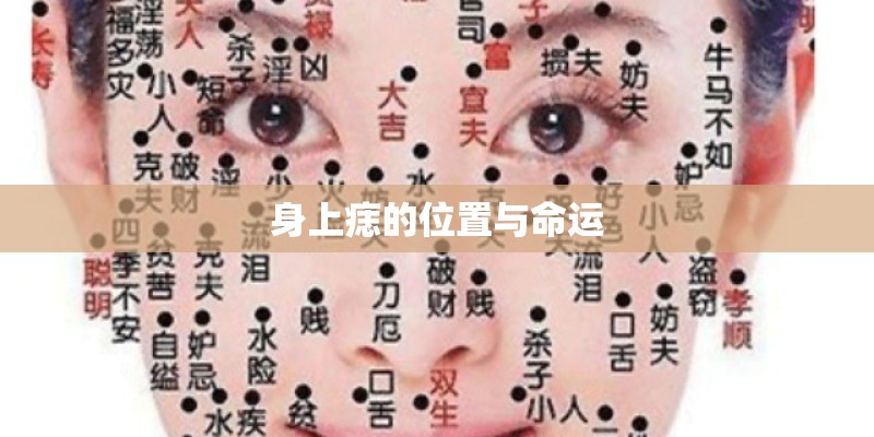 歌曲大王叫我来巡山原唱