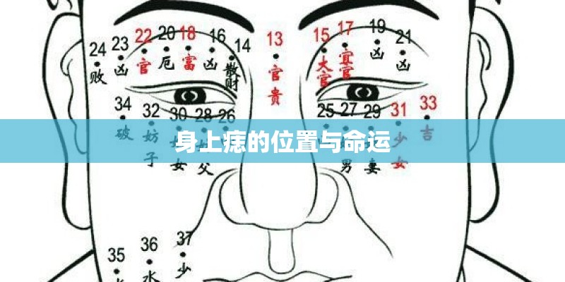 身上痣的位置与命运